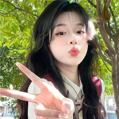 至高荣誉